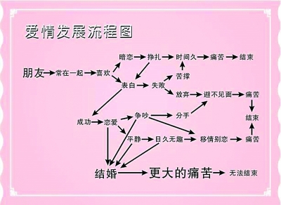爱情发展流程图(巴西世界龟) 爱情发展流程图(巴西世界龟)