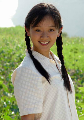 满天星(2004年高一功执导电视剧)