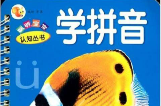聪明宝宝认知丛书:学拼音 聪明宝宝认知丛书:学拼音