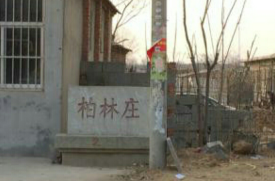 柏林庄镇 柏林庄镇