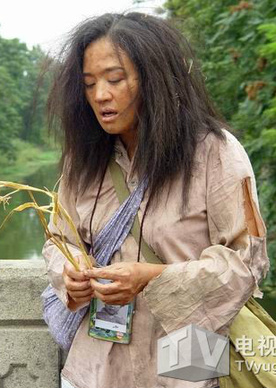 满天星(2004年高一功执导电视剧)