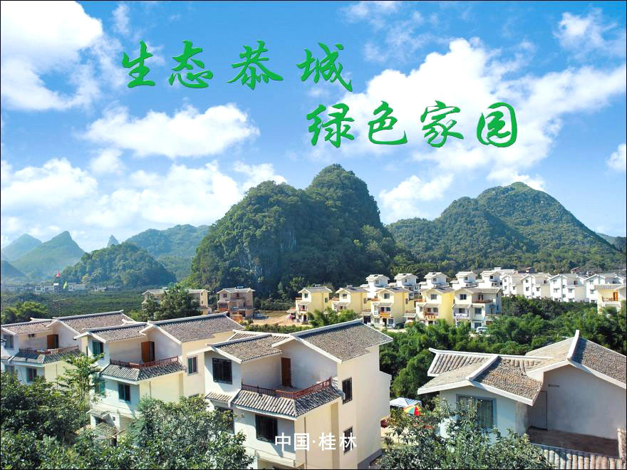 莲花镇 莲花镇