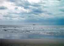 里沙 里沙