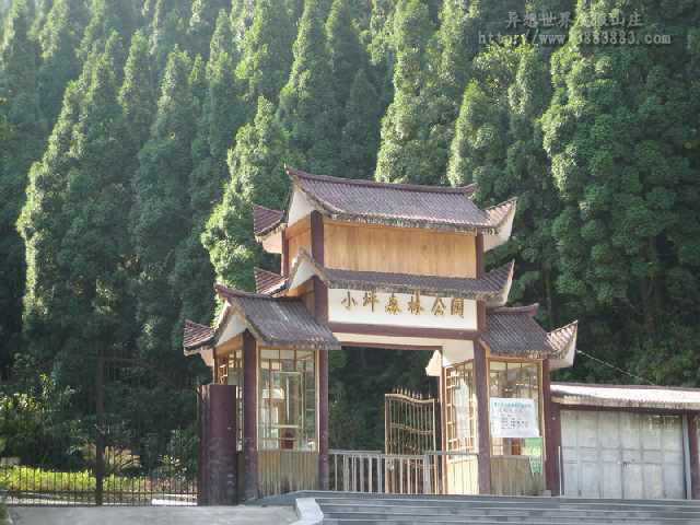 小坪省级森林公园 小坪省级森林公园