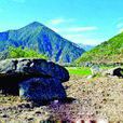 青莲村(福建石狮市蚶江镇下辖村) 青莲村(福建石狮市蚶江镇下辖村)