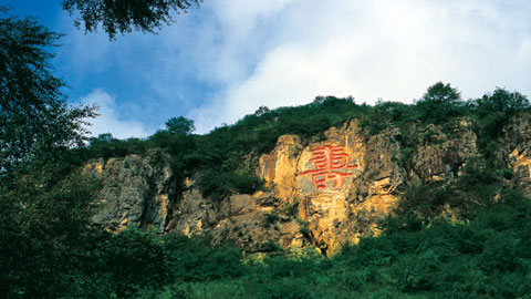 长寿村 长寿村