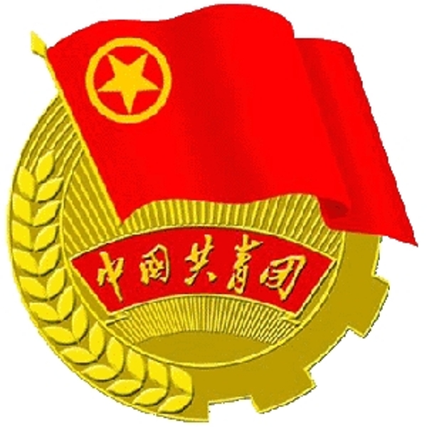 入团申请书 入团申请书
