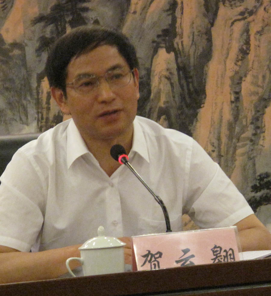 贺云翱 贺云翱