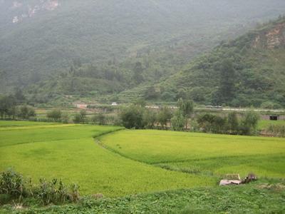 山林 山林