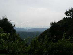 玉峰山森林公园 玉峰山森林公园