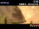 电视散文 电视散文