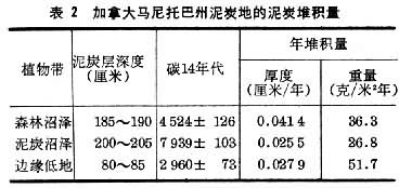 沼泽生态 沼泽生态