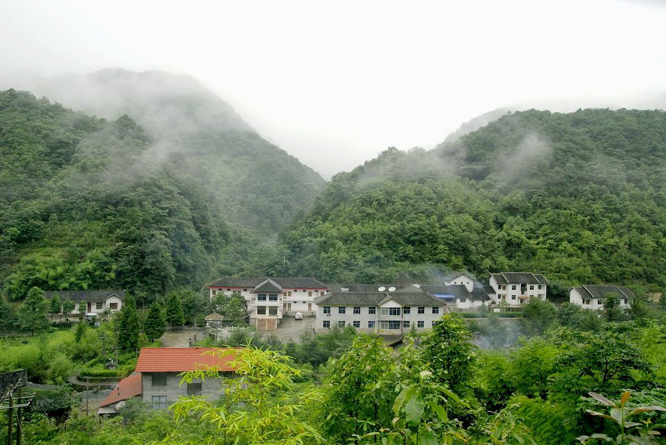 天平山林区 天平山林区