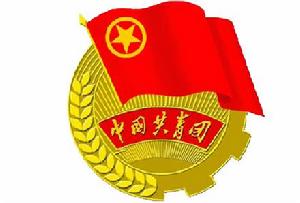 共青团团徵 共青团团徵