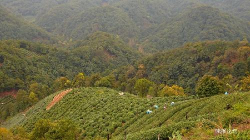 翁家山村 翁家山村