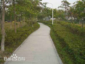 东溪公园 东溪公园