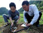 土壤重金属 土壤重金属