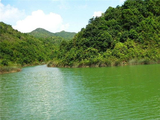 乌山天池 乌山天池