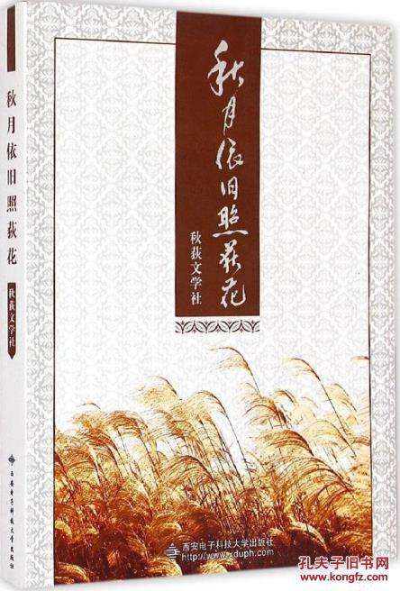 秋月依旧照荻花 秋月依旧照荻花