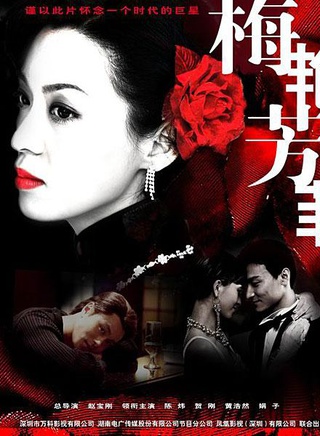 赵丽娟(娟子（影视演员）)