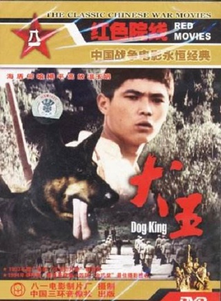 常晓阳(中国内地导演、演员)