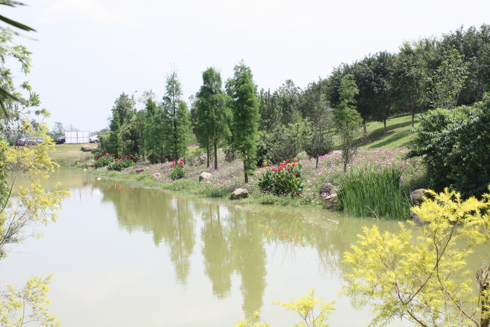 松山湖 松山湖