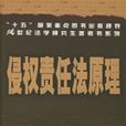 侵权责任法原理 侵权责任法原理