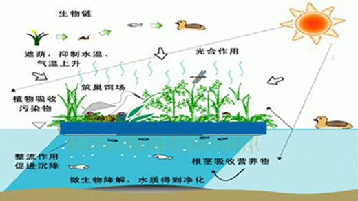人工生态浮岛技术 人工生态浮岛技术
