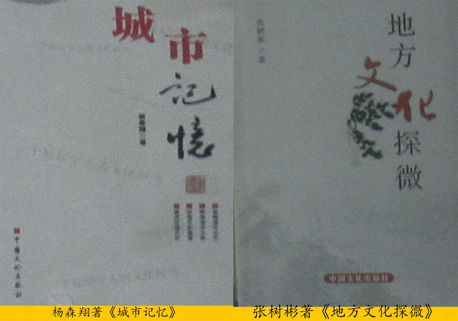 杨森翔着城市记忆张树彬着地方文化探微 杨森翔着城市记忆张树彬着地方文化探微