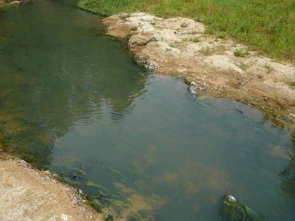 颍河镇 颍河镇