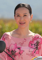 女人当官2