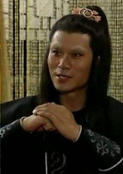 白眉大侠(1995年王文杰执导电视剧)
