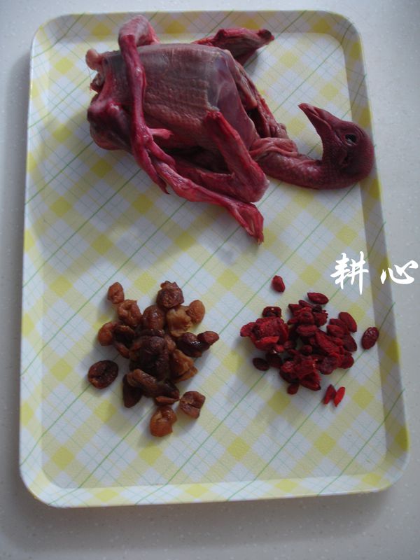 桂圆枸杞鸽子汤