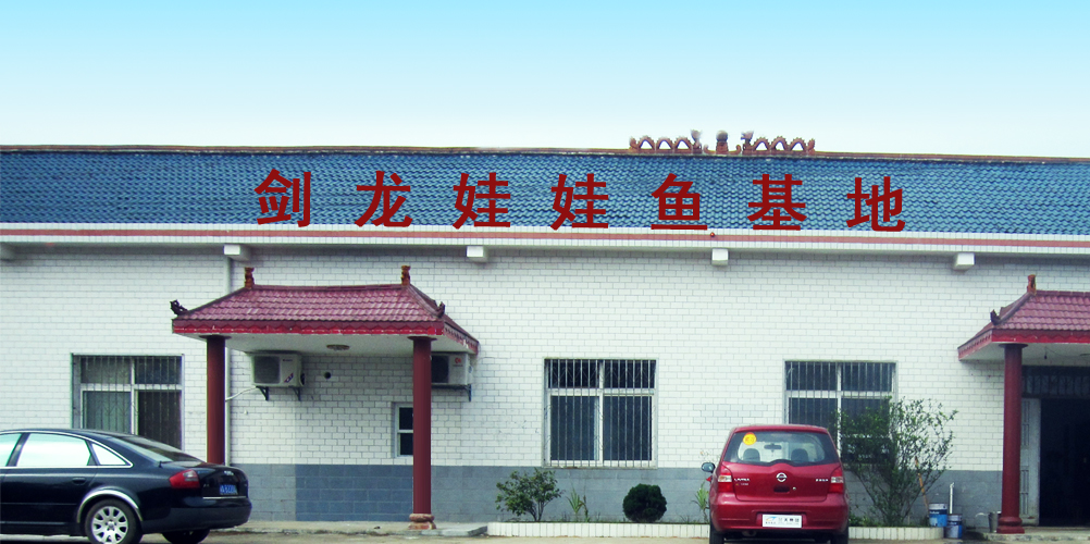 长沙剑龙生物科技发展有限公司 长沙剑龙生物科技发展有限公司