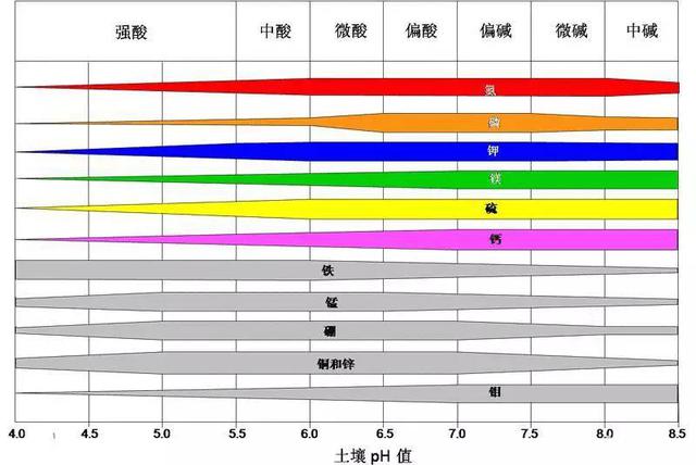 土壤酸硷度 土壤酸硷度