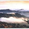 大洋山岛 大洋山岛