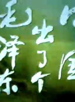 薛白(配音演员)