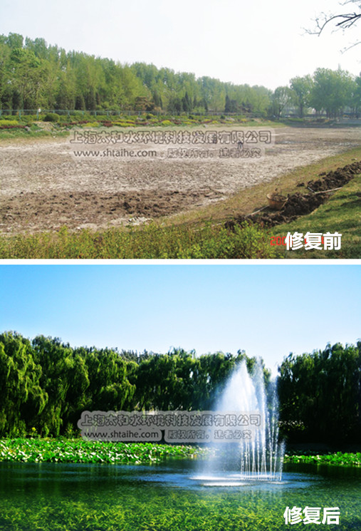 上海太和水环境科技发展有限公司 上海太和水环境科技发展有限公司