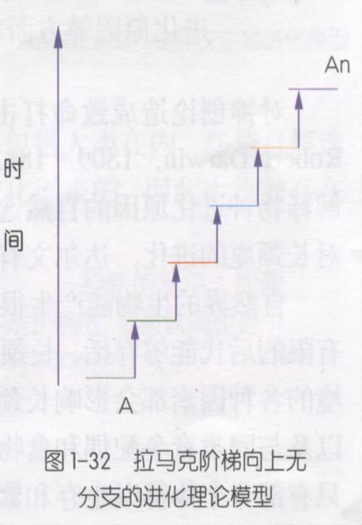 模式图(用进废退) 模式图(用进废退)