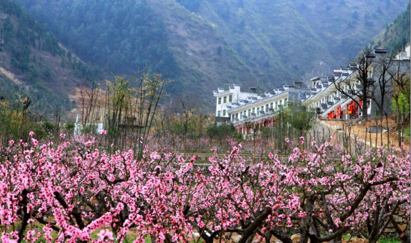 丹凤县桃花谷风景区 丹凤县桃花谷风景区
