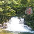 杨家庄村(云南省楚雄禄丰县金山镇杨家庄村) 杨家庄村(云南省楚雄禄丰县金山镇杨家庄村)