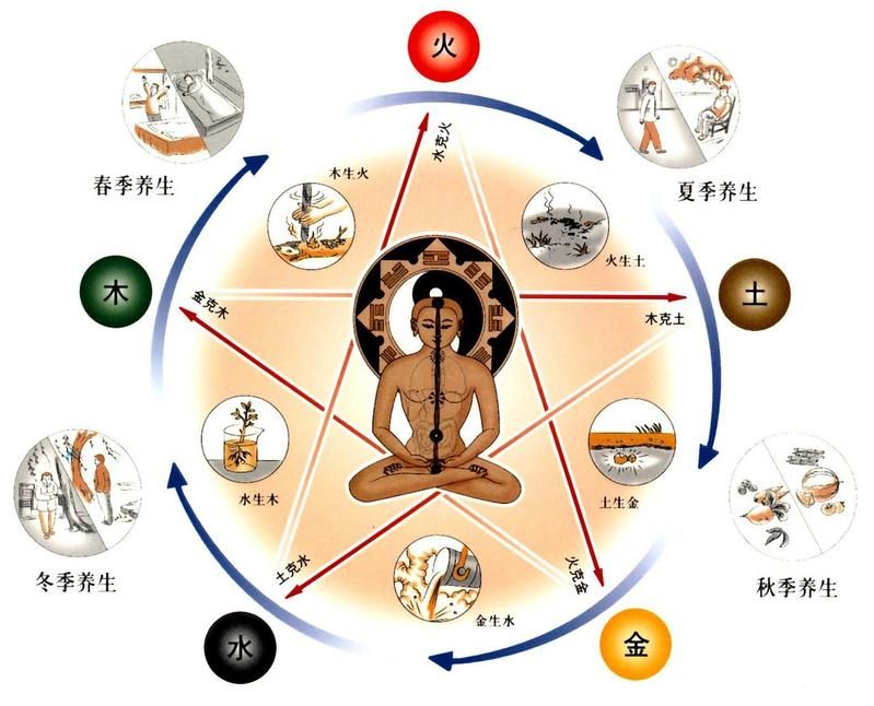 杨柳木 杨柳木