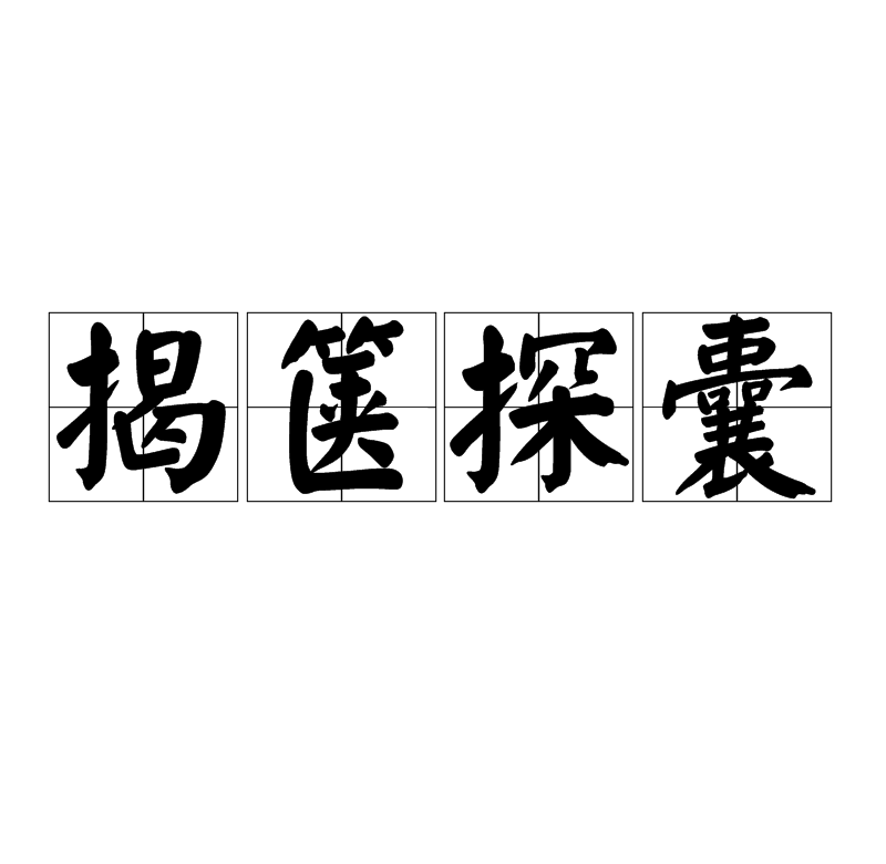 揭箧探囊