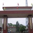 杨林乡(湖南岳阳县杨林街镇) 杨林乡(湖南岳阳县杨林街镇)