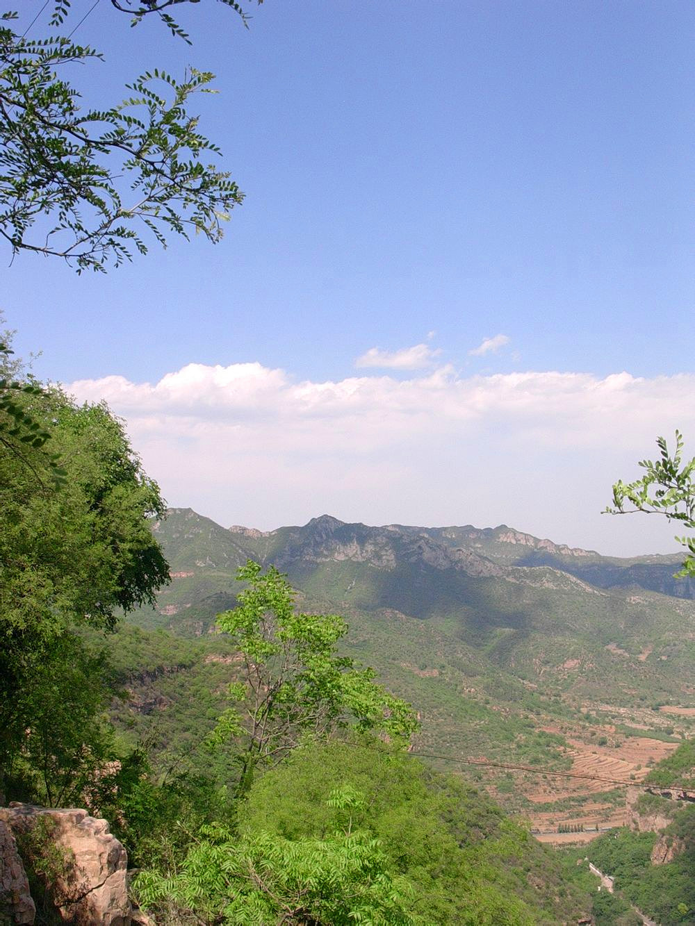 杨家池(岳) 杨家池(岳)