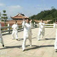 少林花拳 少林花拳
