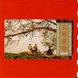 衣锦还乡(1989年罗大佑音乐专辑) 衣锦还乡(1989年罗大佑音乐专辑)