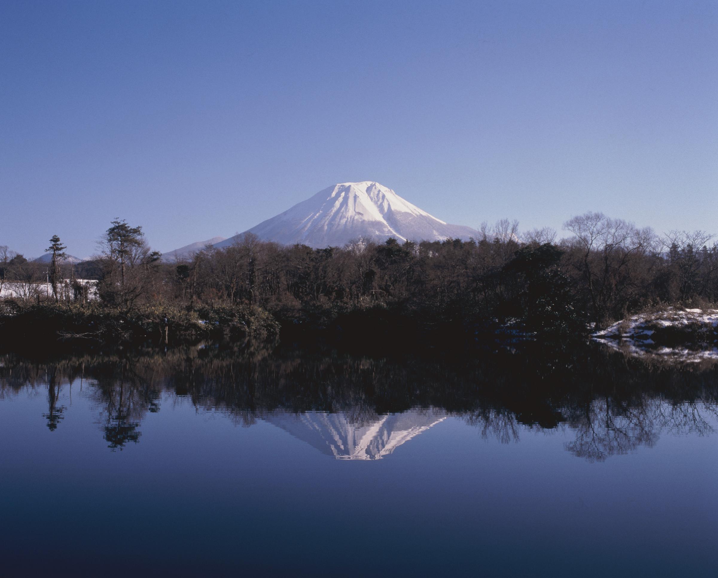 日本大山