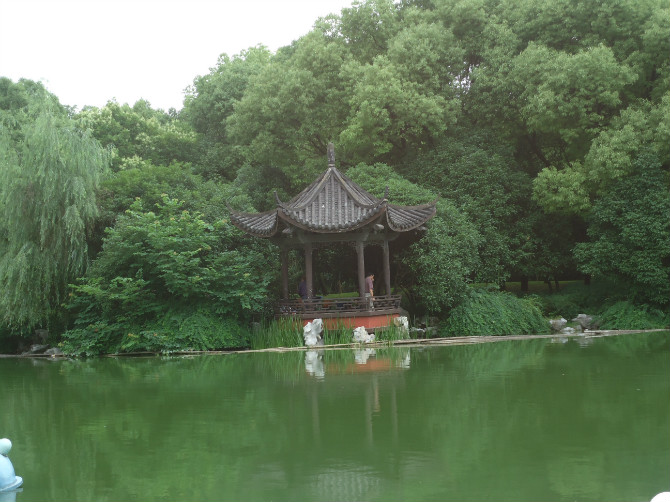中国茶花文化园 中国茶花文化园