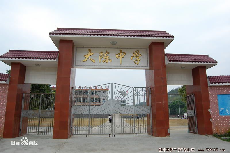 大陈村 大陈村